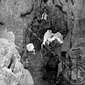La gruta en el Parc de la Ciutadella. Ref: MZ00151