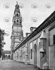 Patio de los Naranjos de la catedral de Córdoba. Ref: MZ01069